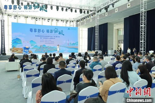 嶺南風韻，活力羊城 社會組織打造特色文旅項目，點燃城市文化新熱度